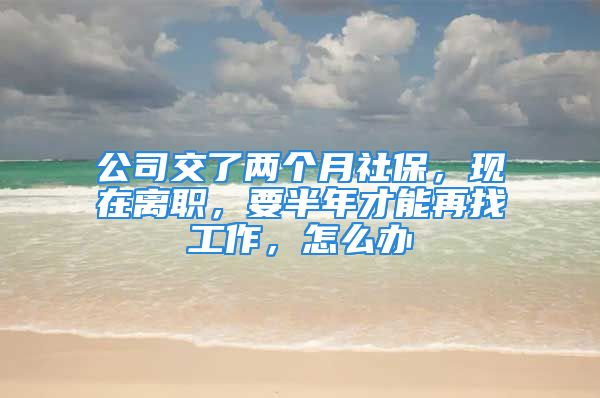 公司交了两个月社保，现在离职，要半年才能再找工作，怎么办