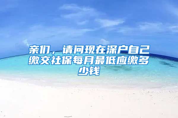 亲们，请问现在深户自己缴交社保每月最低应缴多少钱