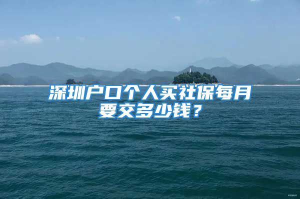 深圳户口个人买社保每月要交多少钱？