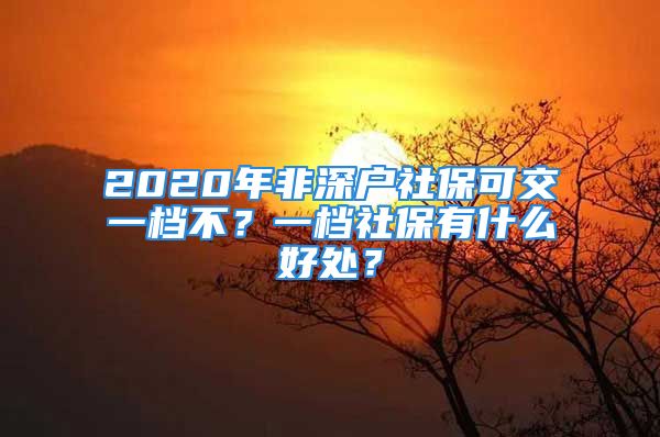 2020年非深户社保可交一档不？一档社保有什么好处？