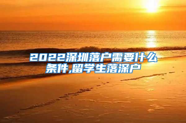 2022深圳落户需要什么条件,留学生落深户