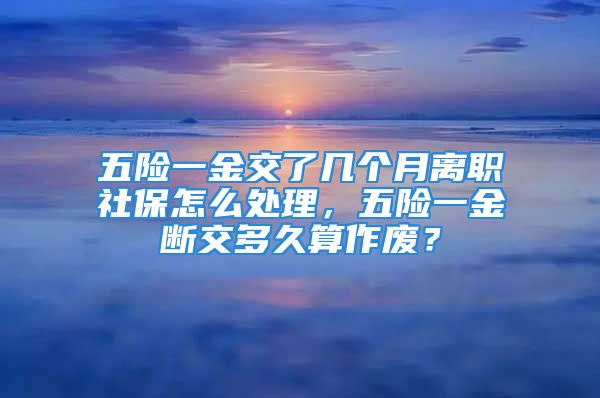 五险一金交了几个月离职社保怎么处理，五险一金断交多久算作废？