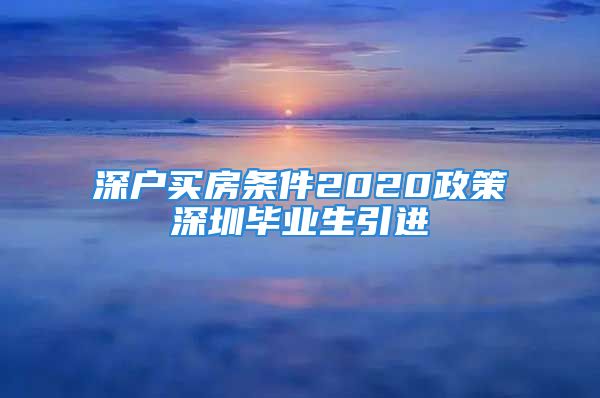 深户买房条件2020政策深圳毕业生引进