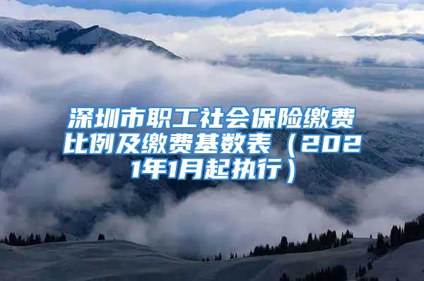 深圳市职工社会保险缴费比例及缴费基数表（2021年1月起执行）