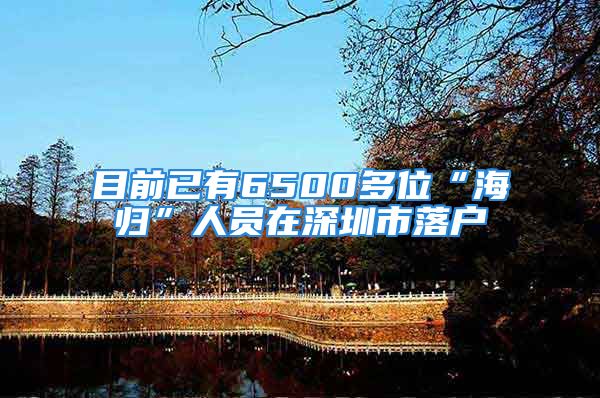 目前已有6500多位“海归”人员在深圳市落户