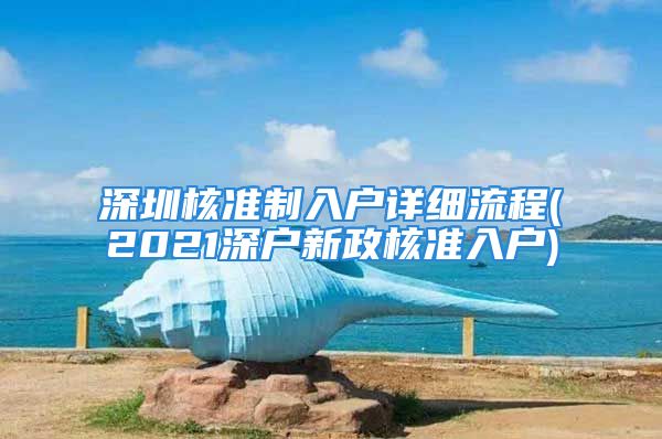 深圳核准制入户详细流程(2021深户新政核准入户)