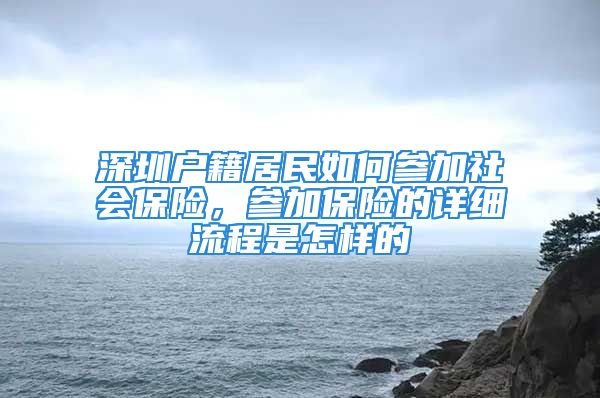 深圳户籍居民如何参加社会保险，参加保险的详细流程是怎样的