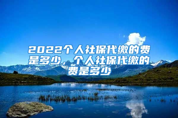 2022个人社保代缴的费是多少，个人社保代缴的费是多少