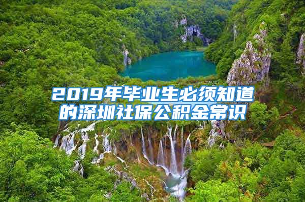 2019年毕业生必须知道的深圳社保公积金常识