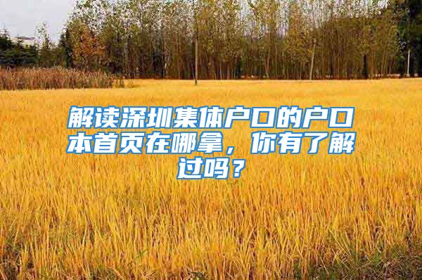 解读深圳集体户口的户口本首页在哪拿，你有了解过吗？