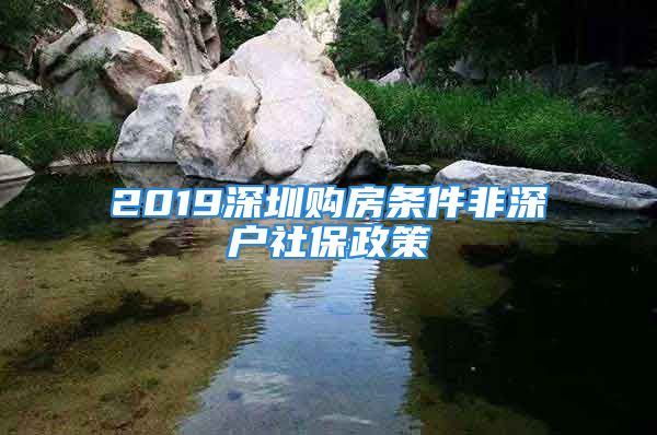 2019深圳购房条件非深户社保政策