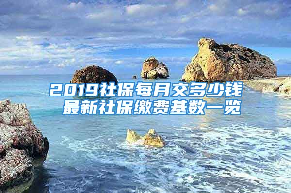 2019社保每月交多少钱 最新社保缴费基数一览