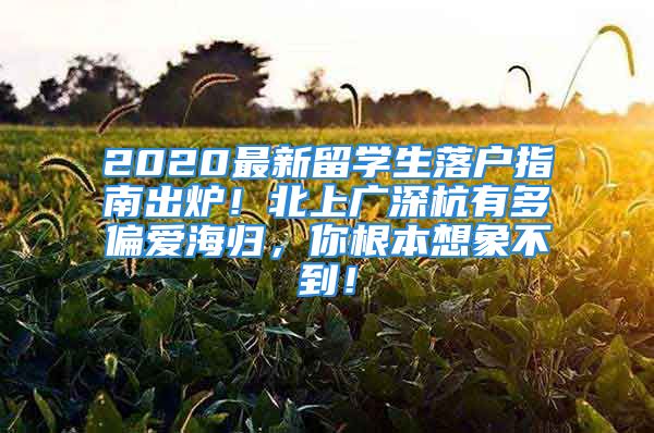 2020最新留学生落户指南出炉！北上广深杭有多偏爱海归，你根本想象不到！