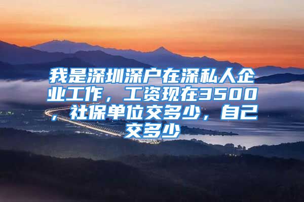 我是深圳深户在深私人企业工作，工资现在3500，社保单位交多少，自己交多少