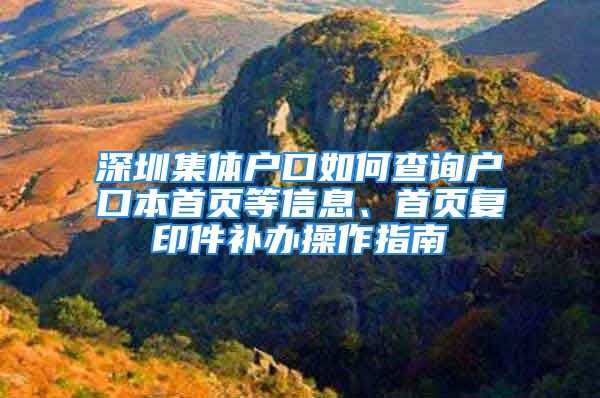 深圳集体户口如何查询户口本首页等信息、首页复印件补办操作指南