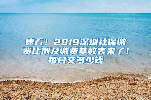 速看！2019深圳社保缴费比例及缴费基数表来了！每月交多少钱