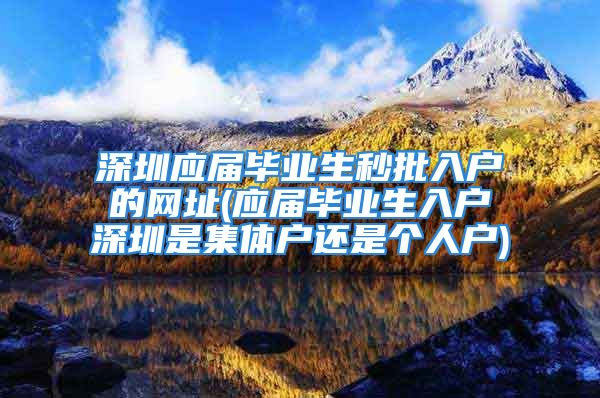 深圳应届毕业生秒批入户的网址(应届毕业生入户深圳是集体户还是个人户)