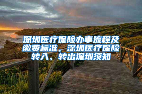 深圳医疗保险办事流程及缴费标准，深圳医疗保险转入、转出深圳须知