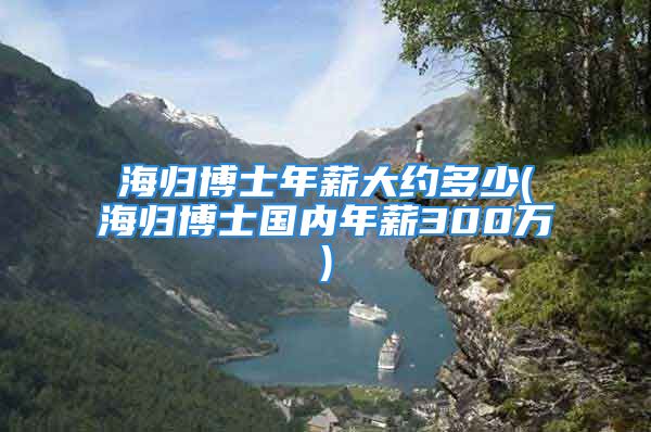 海归博士年薪大约多少(海归博士国内年薪300万)