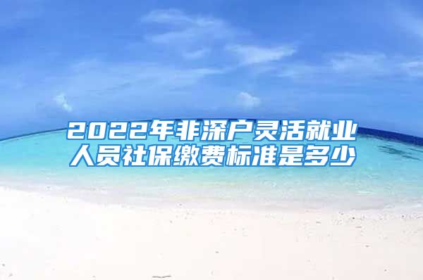 2022年非深户灵活就业人员社保缴费标准是多少