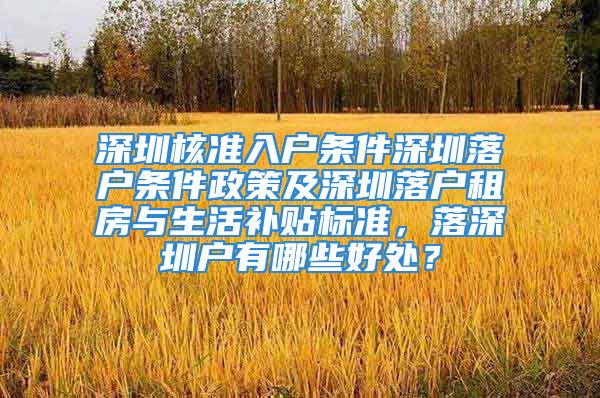 深圳核准入户条件深圳落户条件政策及深圳落户租房与生活补贴标准，落深圳户有哪些好处？