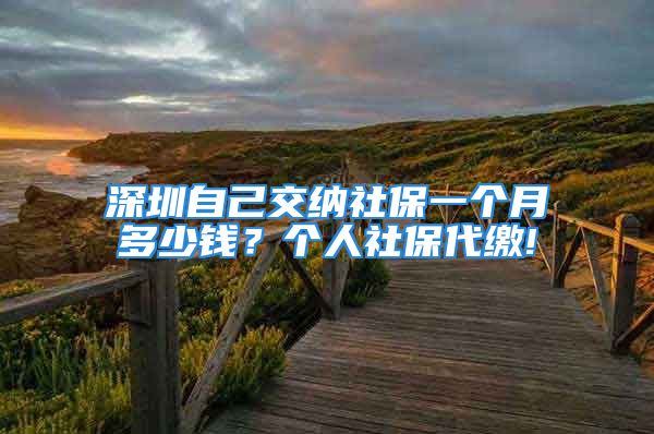 深圳自己交纳社保一个月多少钱？个人社保代缴!