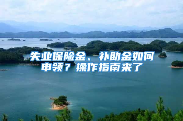 失业保险金、补助金如何申领？操作指南来了