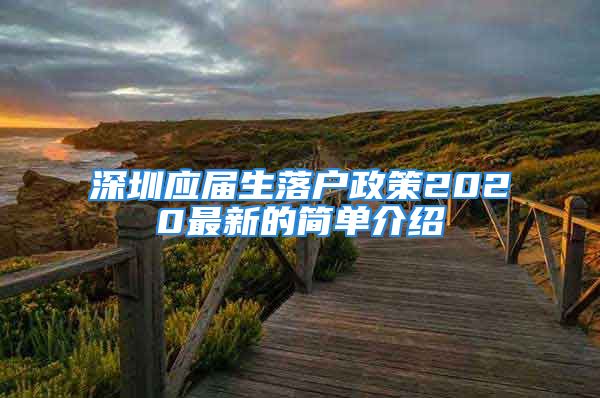 深圳应届生落户政策2020最新的简单介绍