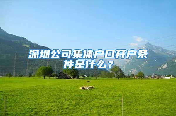 深圳公司集体户口开户条件是什么？