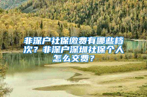 非深户社保缴费有哪些档次？非深户深圳社保个人怎么交费？