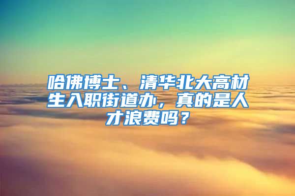 哈佛博士、清华北大高材生入职街道办，真的是人才浪费吗？