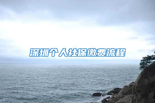 深圳个人社保缴费流程