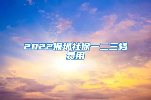 2022深圳社保一二三档费用