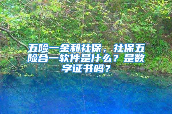 五险一金和社保，社保五险合一软件是什么？是数字证书吗？