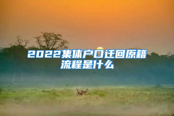 2022集体户口迁回原籍流程是什么