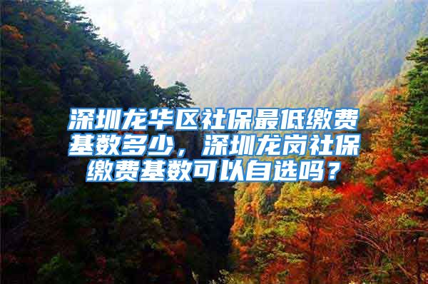 深圳龙华区社保最低缴费基数多少，深圳龙岗社保缴费基数可以自选吗？