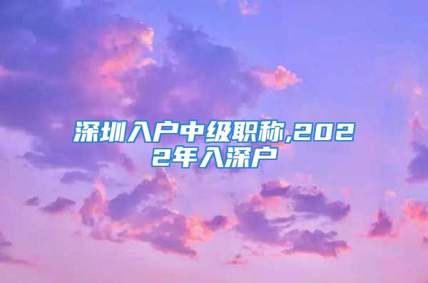 深圳入户中级职称,2022年入深户