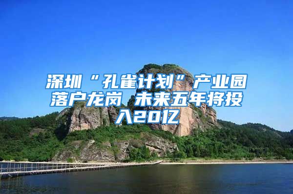 深圳“孔雀计划”产业园落户龙岗 未来五年将投入20亿