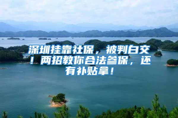 深圳挂靠社保，被判白交！两招教你合法参保，还有补贴拿！