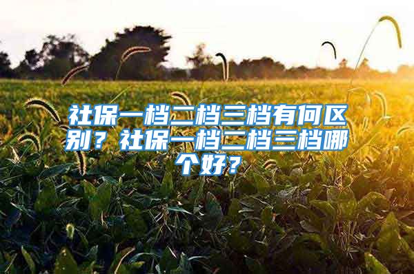 社保一档二档三档有何区别？社保一档二档三档哪个好？