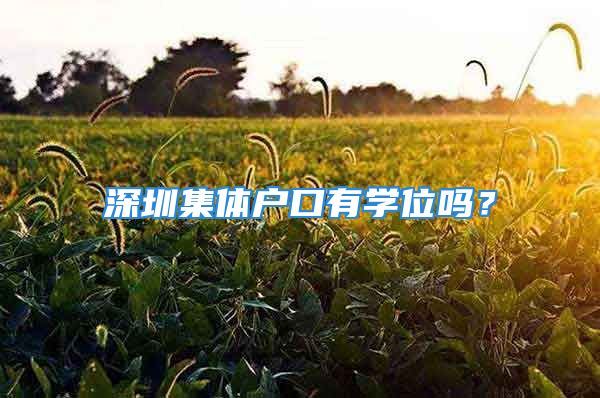 深圳集体户口有学位吗？