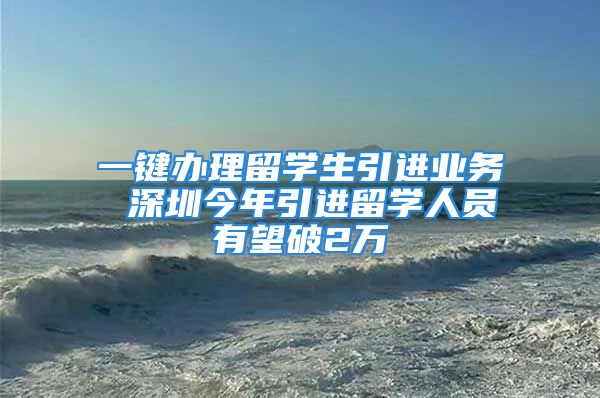 一键办理留学生引进业务 深圳今年引进留学人员有望破2万