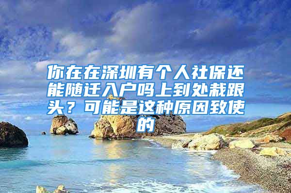 你在在深圳有个人社保还能随迁入户吗上到处栽跟头？可能是这种原因致使的