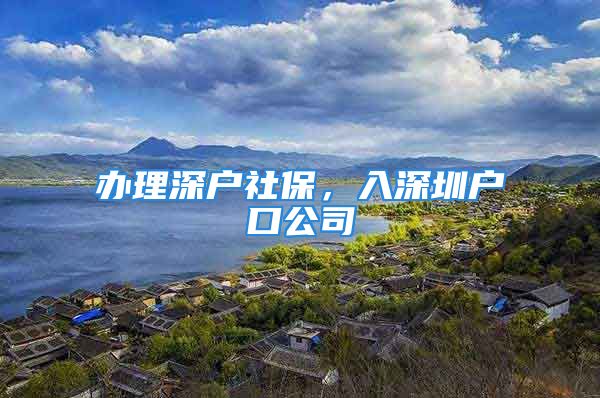 办理深户社保，入深圳户口公司