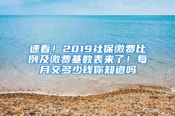 速看！2019社保缴费比例及缴费基数表来了！每月交多少钱你知道吗