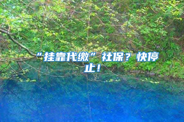 “挂靠代缴”社保？快停止！