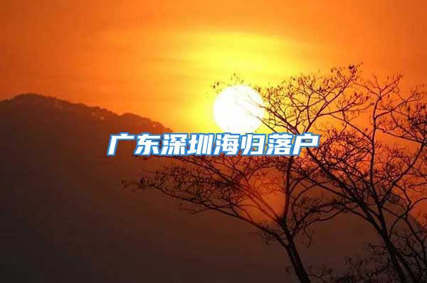 广东深圳海归落户