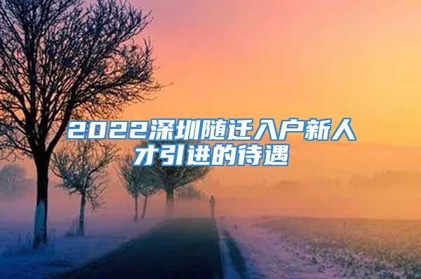 2022深圳随迁入户新人才引进的待遇