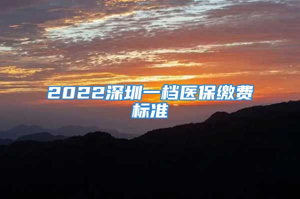 2022深圳一档医保缴费标准