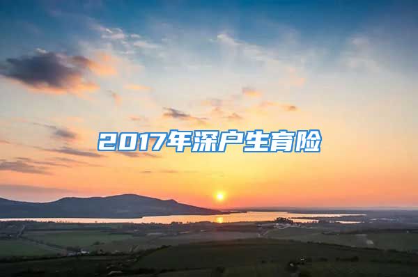 2017年深户生育险